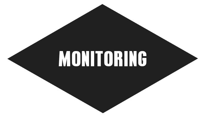 SEO Monitoring